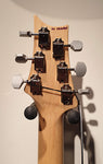 PRS Silver SKy Polar