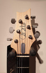 PRS Silver SKy Polar