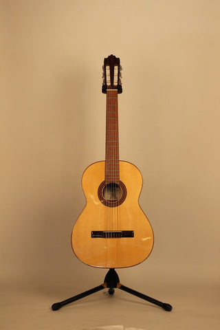 Acoustic Guitars | Raimundo P45 | American Guitarstore