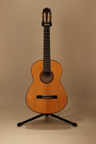 Acoustic Guitars Iberica 9F American Guitarstore